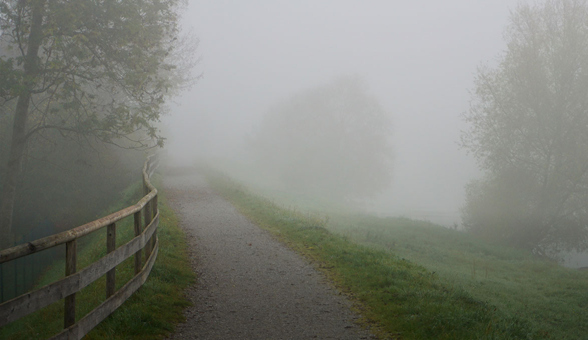 Foggy rural gravel road