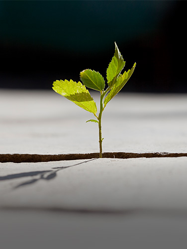 Thumbnail for November 2025 - After a Bumpy Start to October, Stock Prices Rose Last Month