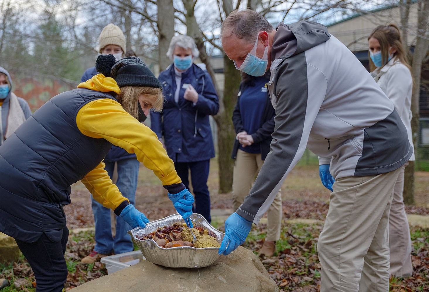 project chimps southstate supporting chimpanzee sanctuary