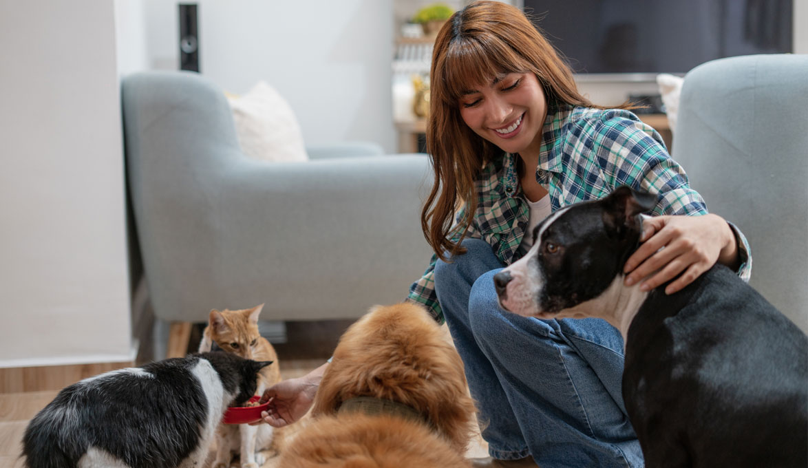 Woman Feeding Her Cats and Dogs at Home