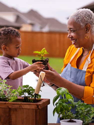 Thumbnail for 6 Budget-Friendly Ways to Transform Your Outdoor Space