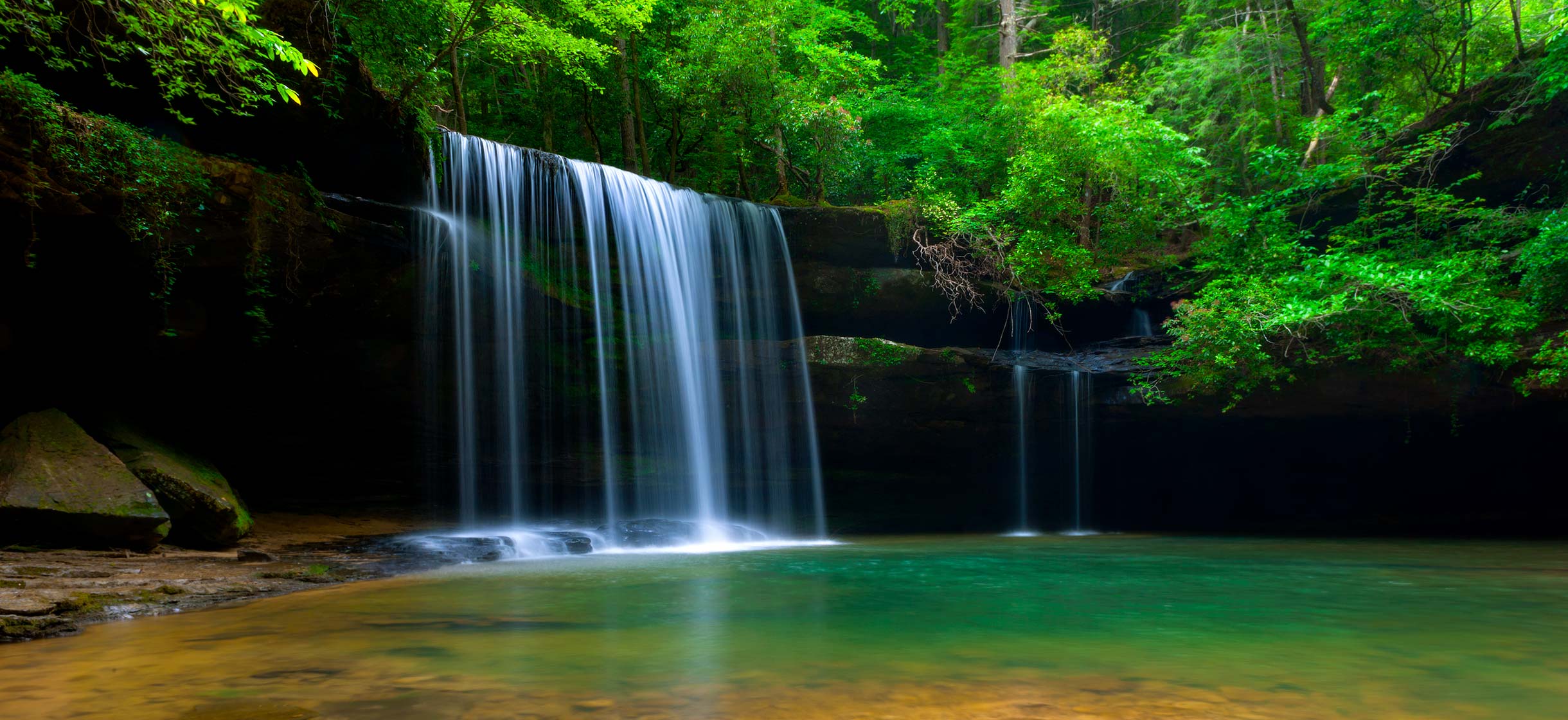 Bankhead National Forest, AL